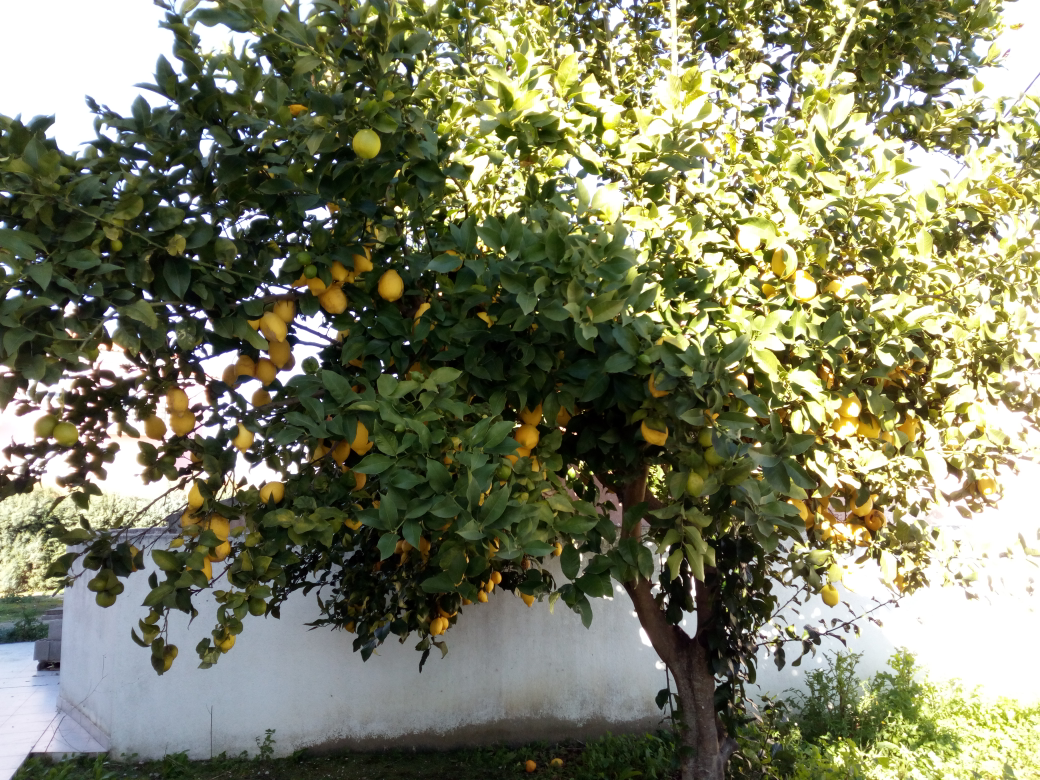 PE_20180123_072830.png PE_20180123_072830.png