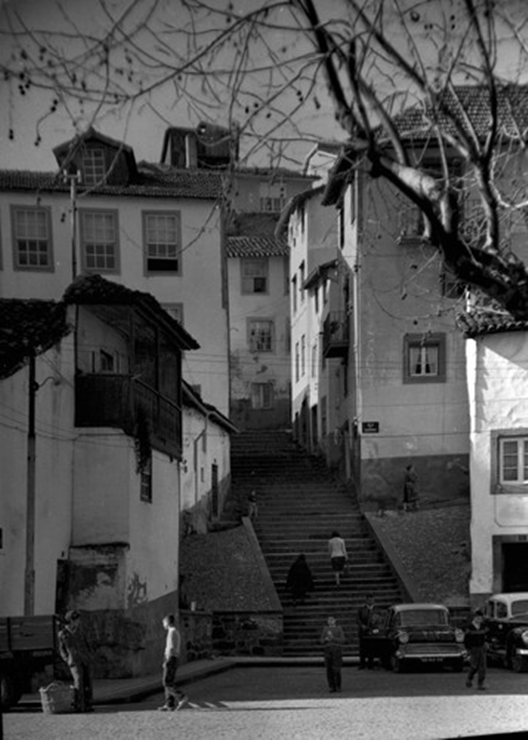 740.......500x500 (16).png 740.......500x500 (16).png