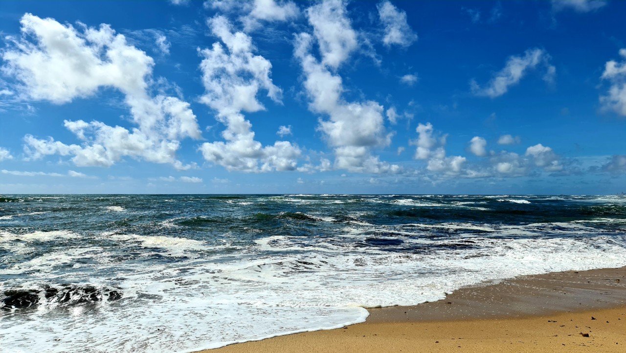 20210516_162037.jpg 20210516_162037.jpg