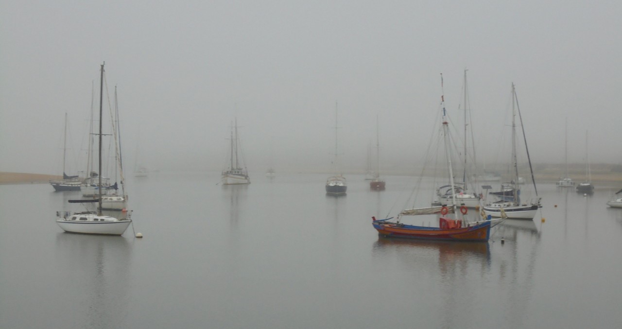 Manhã de neblina.jpeg