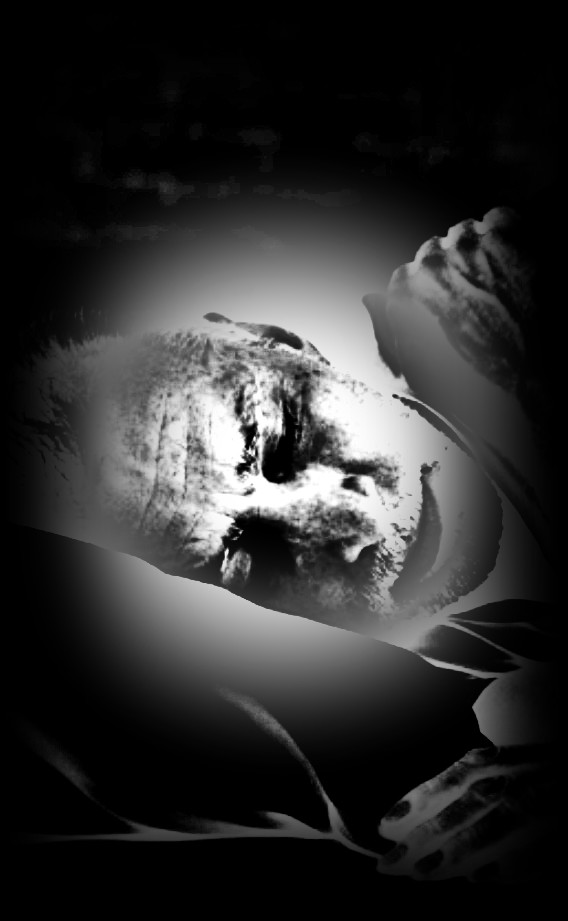 Acorda.jpg Acorda.jpg