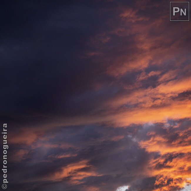 Set_2022_004 650px.jpg