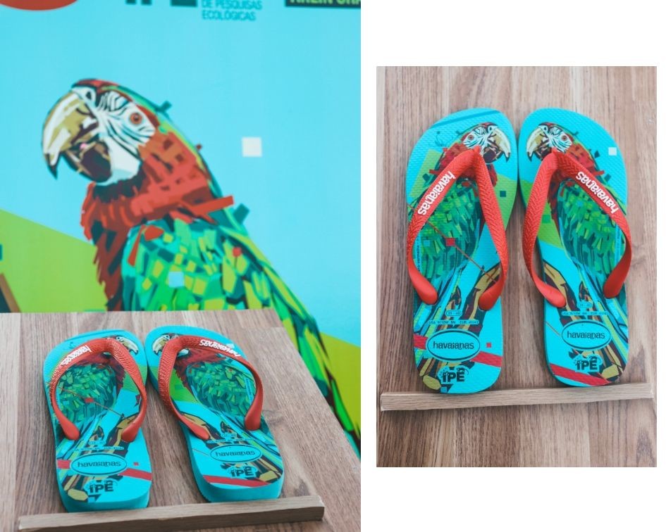 AraraVermelha|HavaianasIPÊ2019.jpg