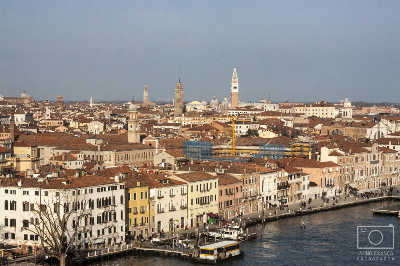 IMG_5667_net.jpg IMG_5667_net.jpg