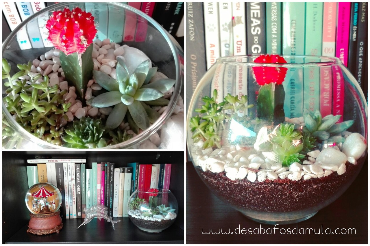 1480416127321.jpg 1480416127321.jpg