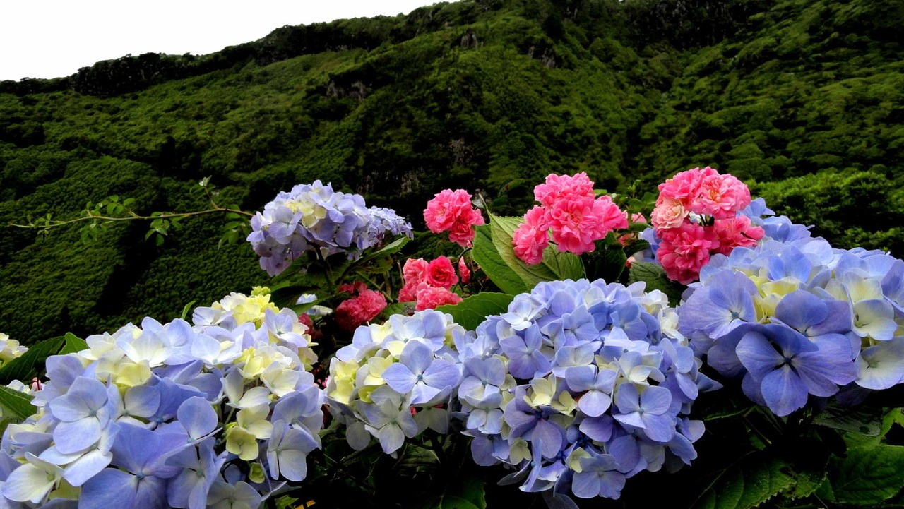 Ilhas das Flores. Açores. um dos meus lugares pre