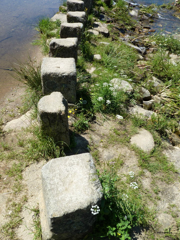 Idanha-a-Velha (94) Poldras.jpg