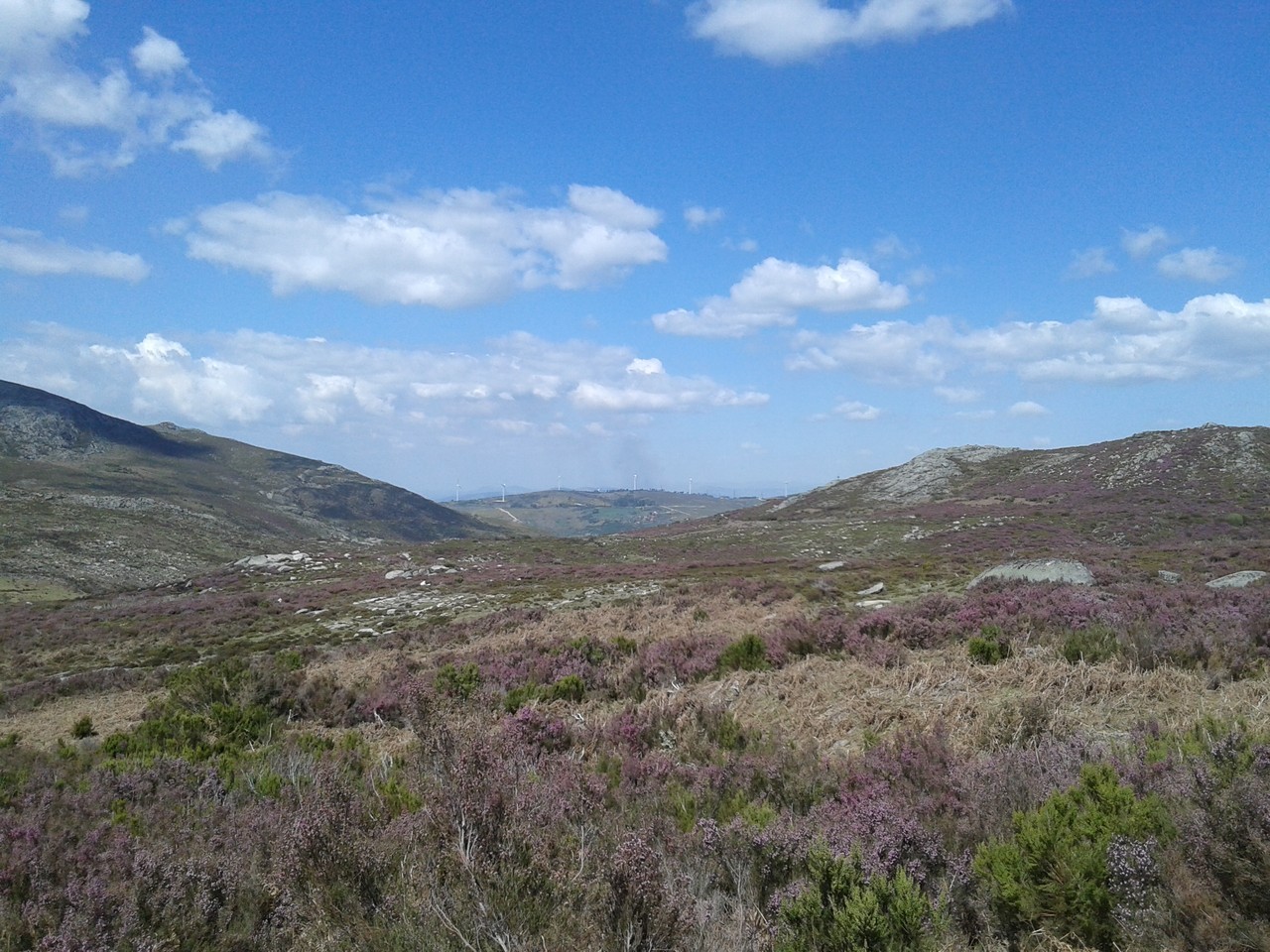 19435936_yIaKt.jpeg 19435936_yIaKt.jpeg