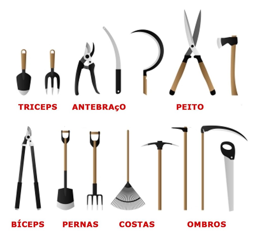 ferramentas de musculação.jpg