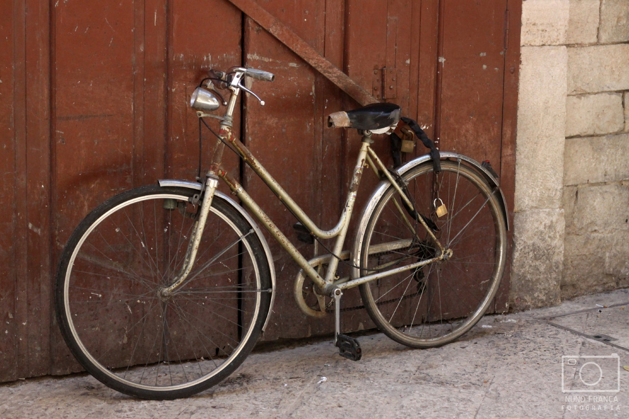 IMG_5743_net.jpg IMG_5743_net.jpg