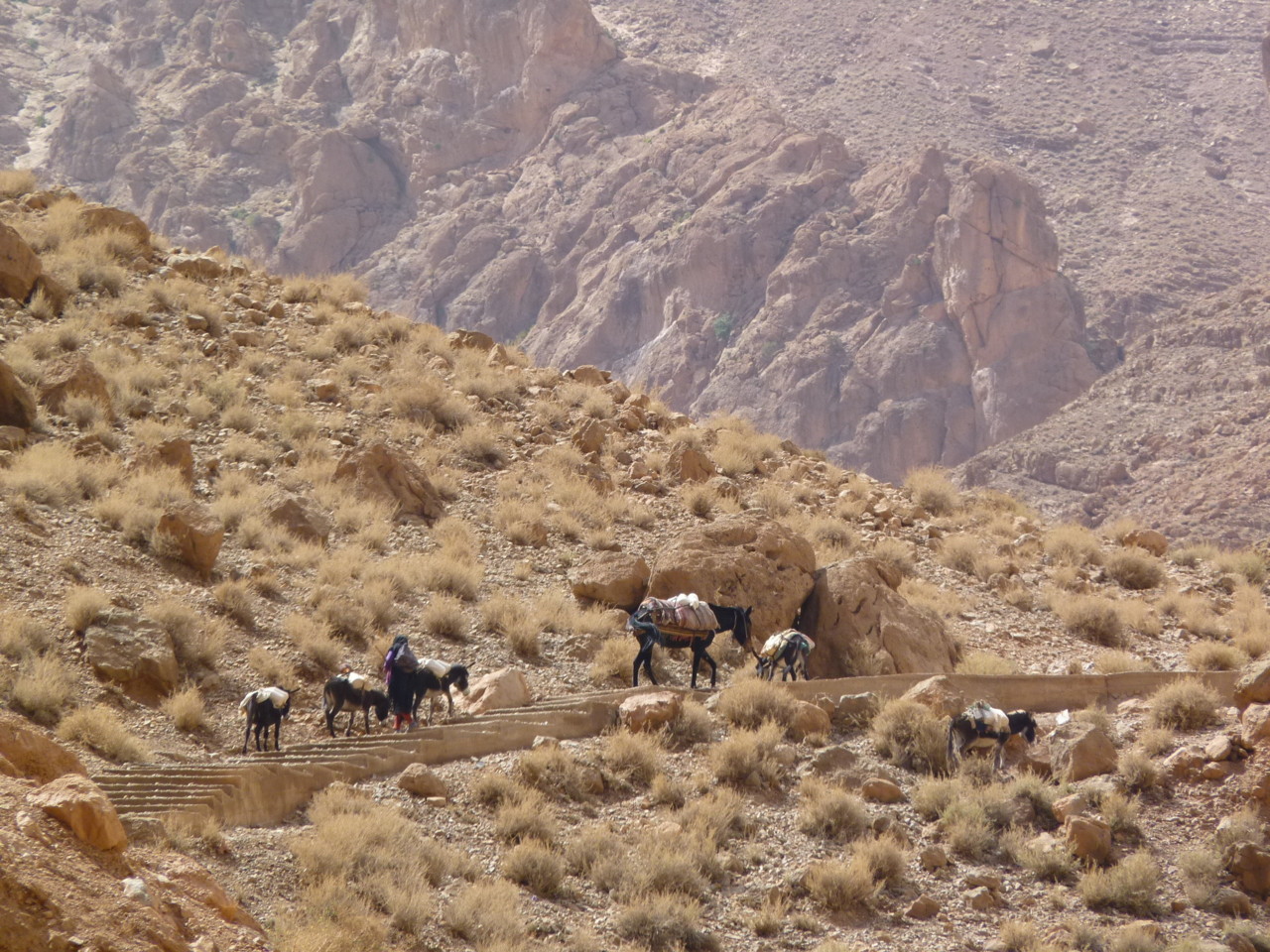Gargantas do Todgha 5.JPG
