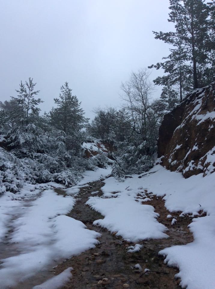 12742715_1654760474787771_2932444315333233409_n.jp