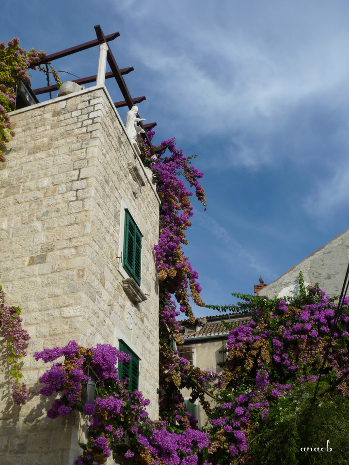 Croácia-Split 7.jpg