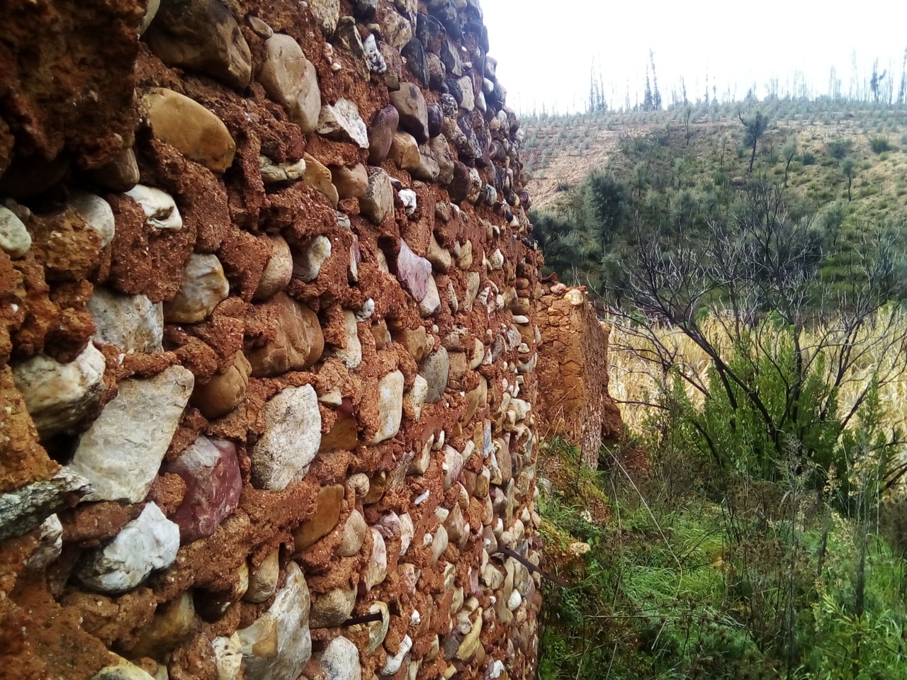 IMG_20190130_102244.jpg IMG_20190130_102244.jpg