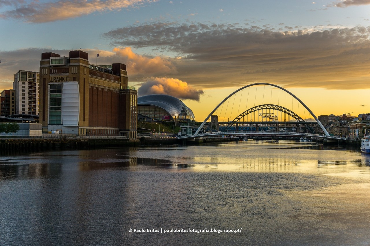 DSC_10368 - Newcastle-1-3.jpg