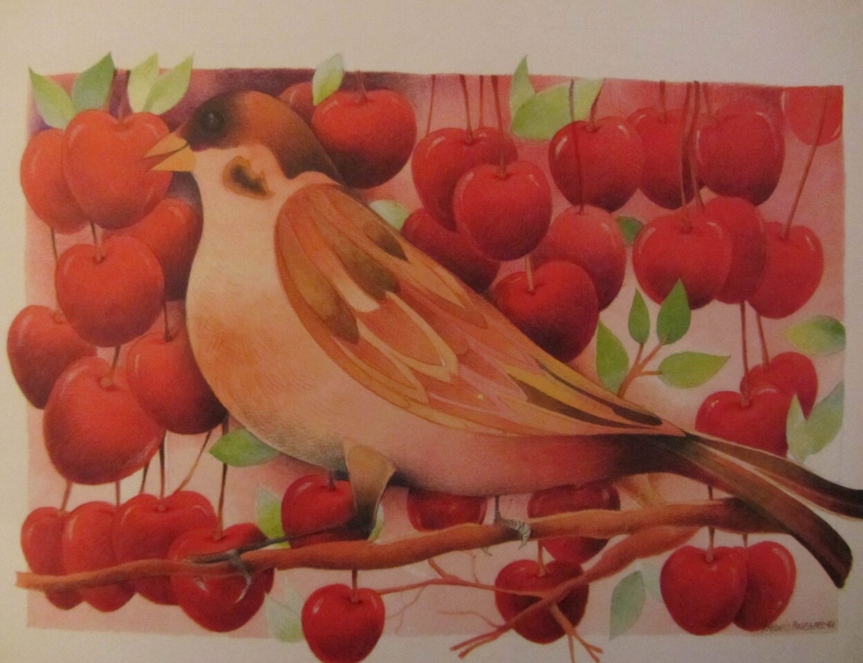 41884509_1878269272260963_2760339296039731200_n.jp