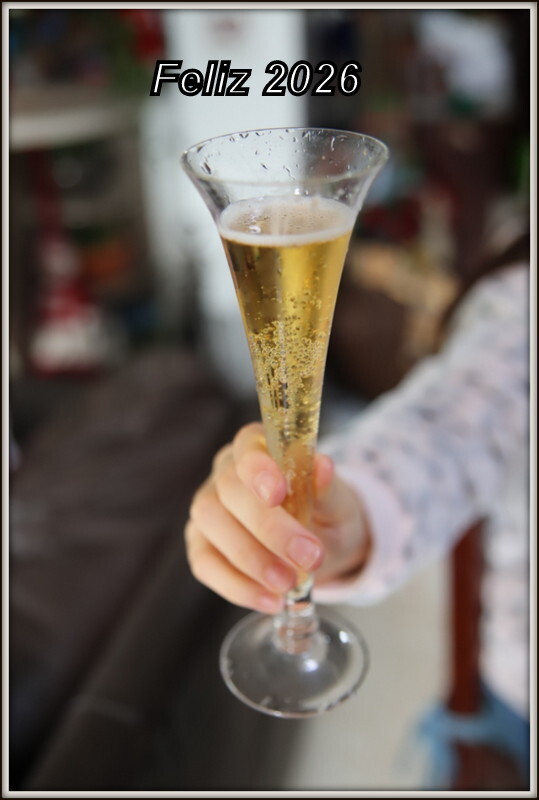 IMG_8265 - Cópia (2).JPG