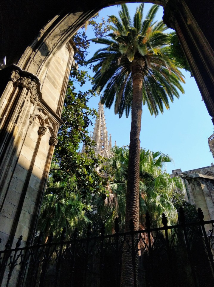 Vista da Catedral de Barcelona.jpg