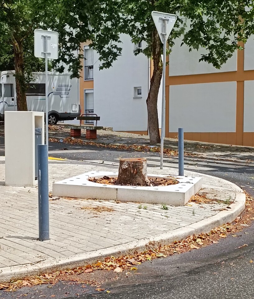 Canteiro novo com tronco de árvore.jpg