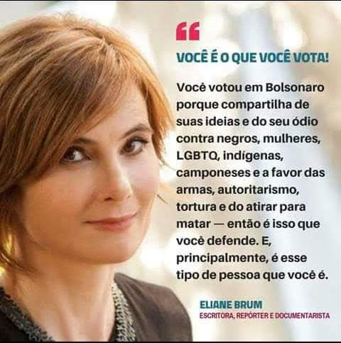 eleitor bolsonaro eliane brum.png