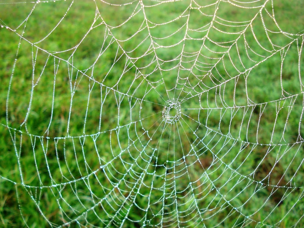 33069873.jpg 33069873.jpg