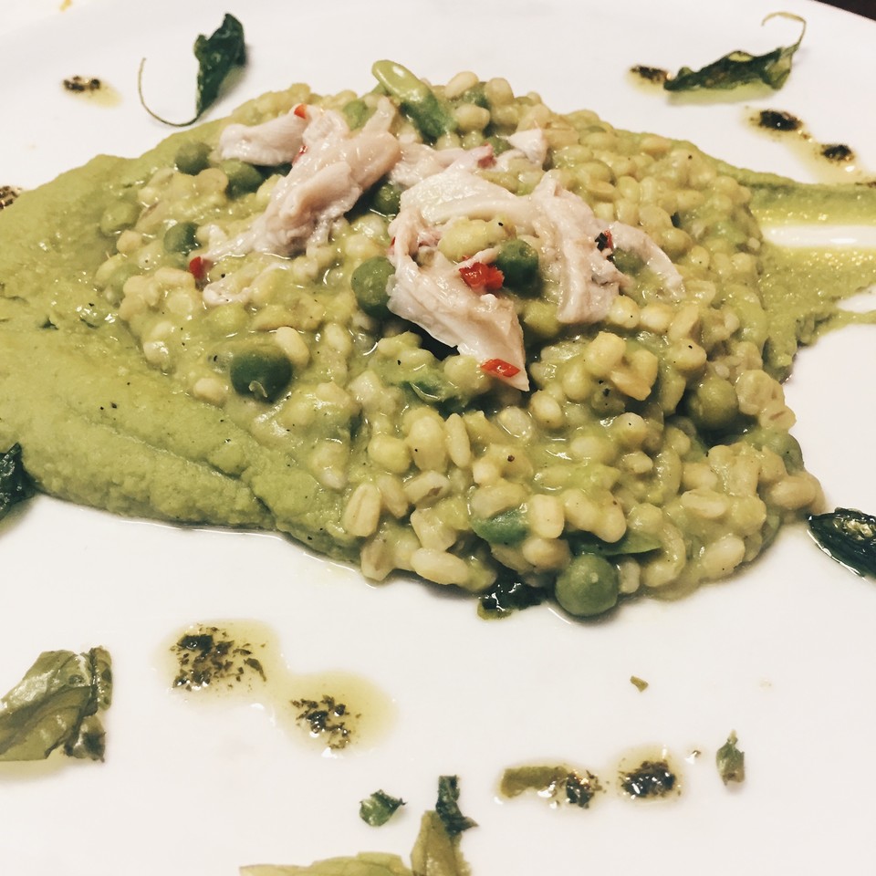 cevadotto.jpg cevadotto.jpg