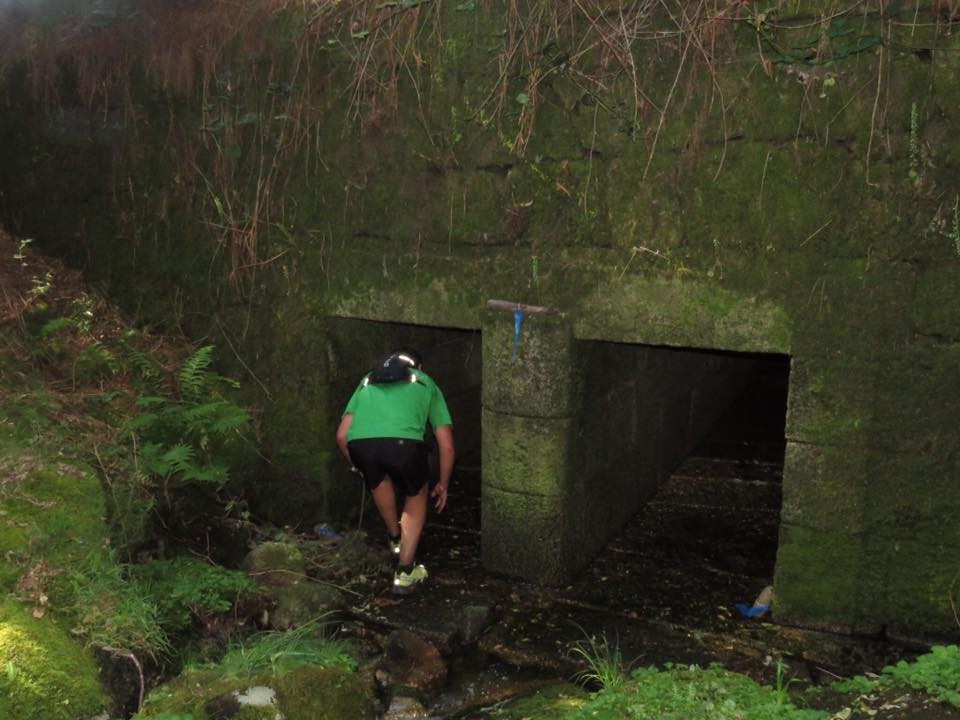 13438867_1234054443278963_3914722844233353068_n.jp