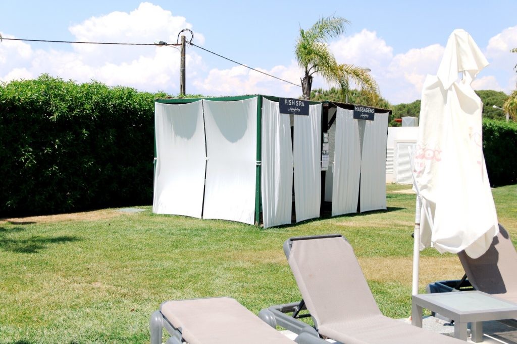 ACS_0614-1024x683.jpg ACS_0614-1024x683.jpg