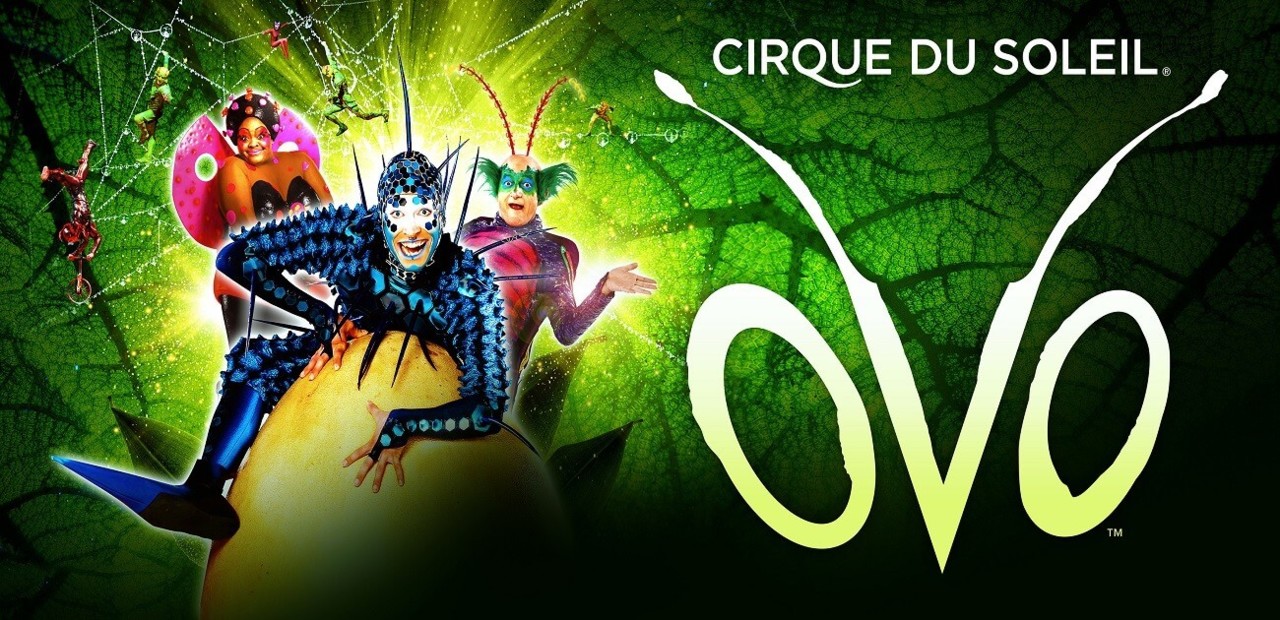 CIRQUE DU SOLEIL APRESENTA OVO EM LISBOA DE 03 A 1