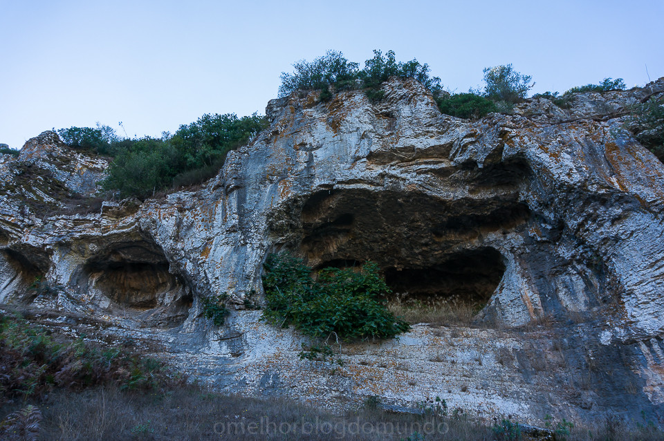 DSC05417.jpg DSC05417.jpg