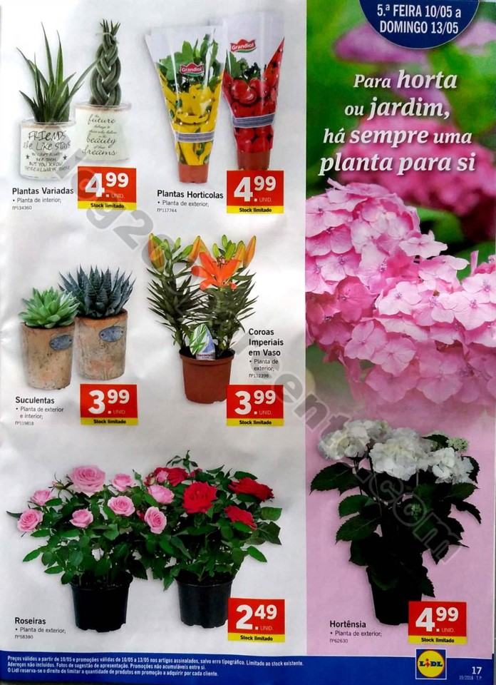 antevisao lidl 7 a 13 maio_17.jpg