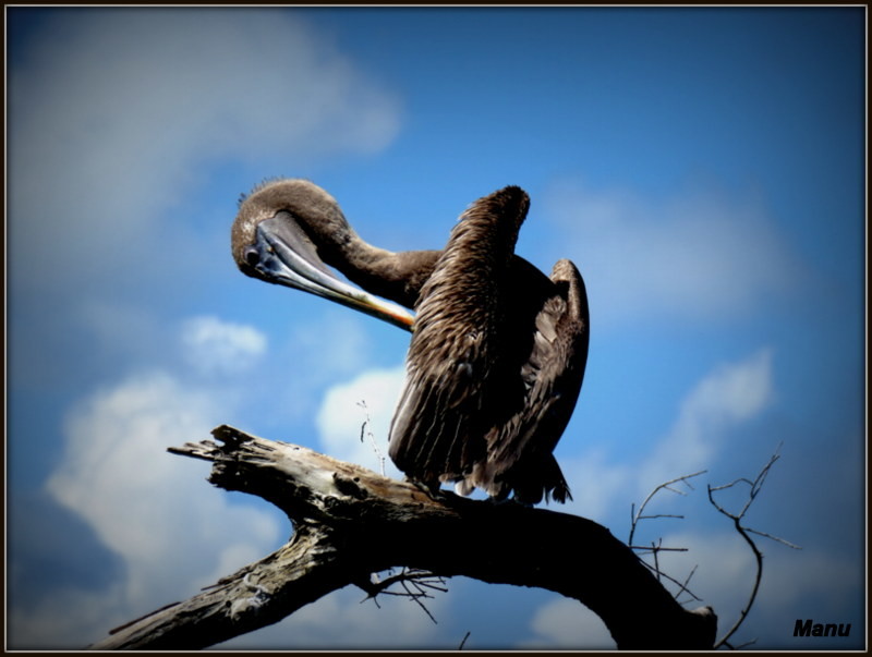 1-IMG_1136.JPG 1-IMG_1136.JPG