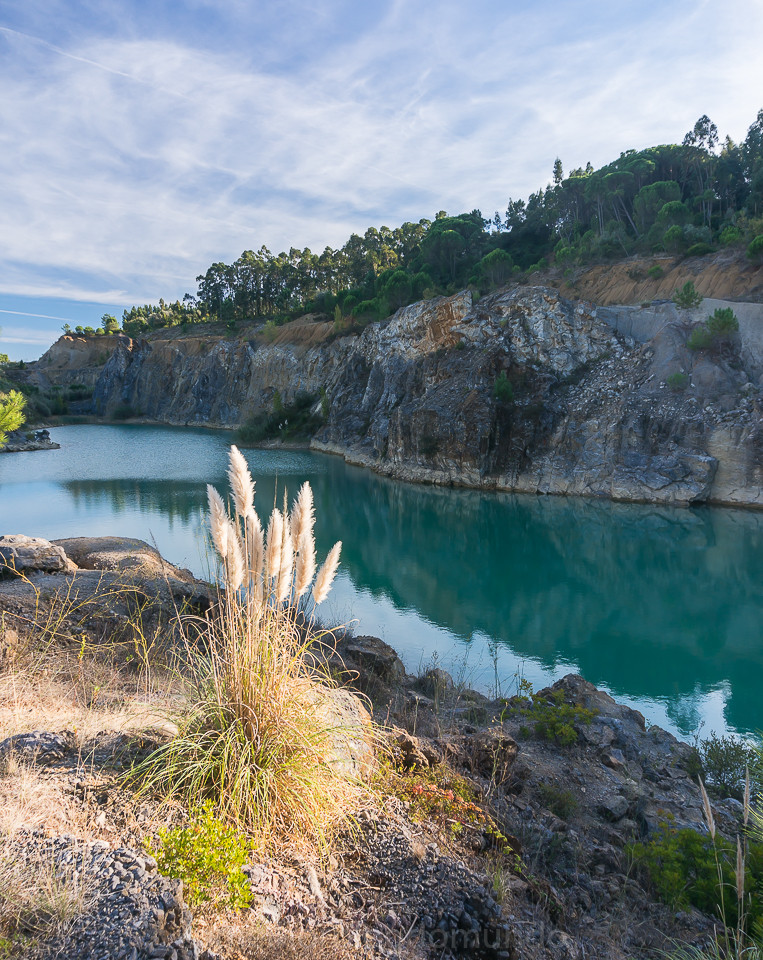 DSC05501.jpg DSC05501.jpg