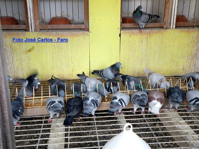 Lagos 018.JPG Lagos 018.JPG