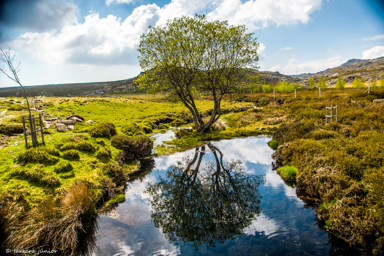 08.- Pedras Boroas.jpg