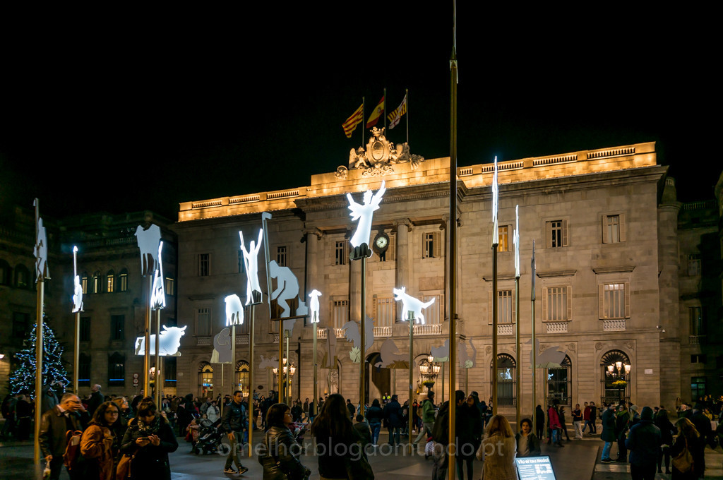 DSC03968.jpg DSC03968.jpg