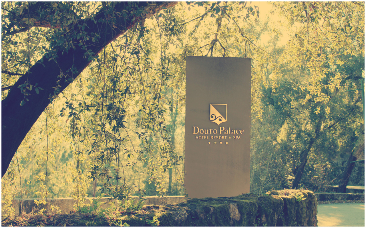 Douro Royal Valley e Douro Palace