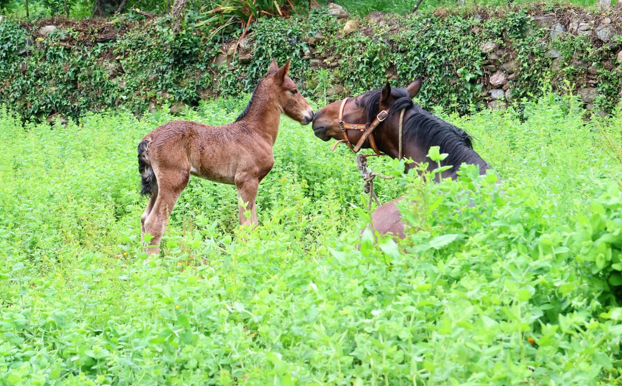 IMG_0280.jpg IMG_0280.jpg