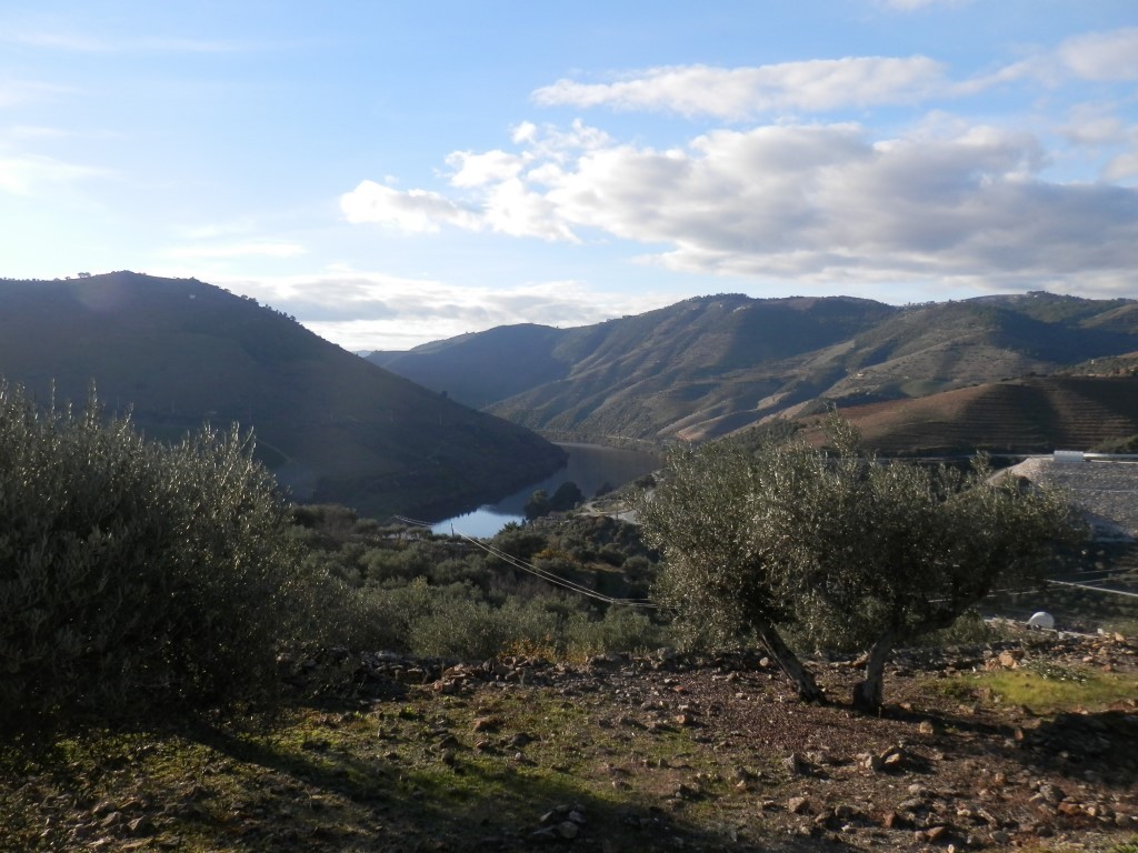 PC070869.JPG PC070869.JPG