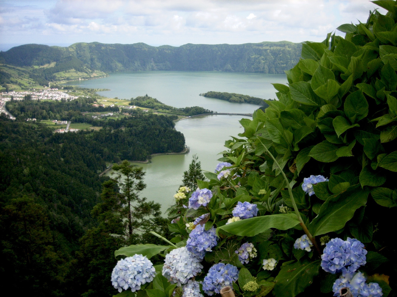 fullsizeoutput_12d2.jpeg fullsizeoutput_12d2.jpeg