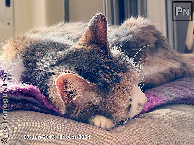 Mar_2024_030 650px.jpg