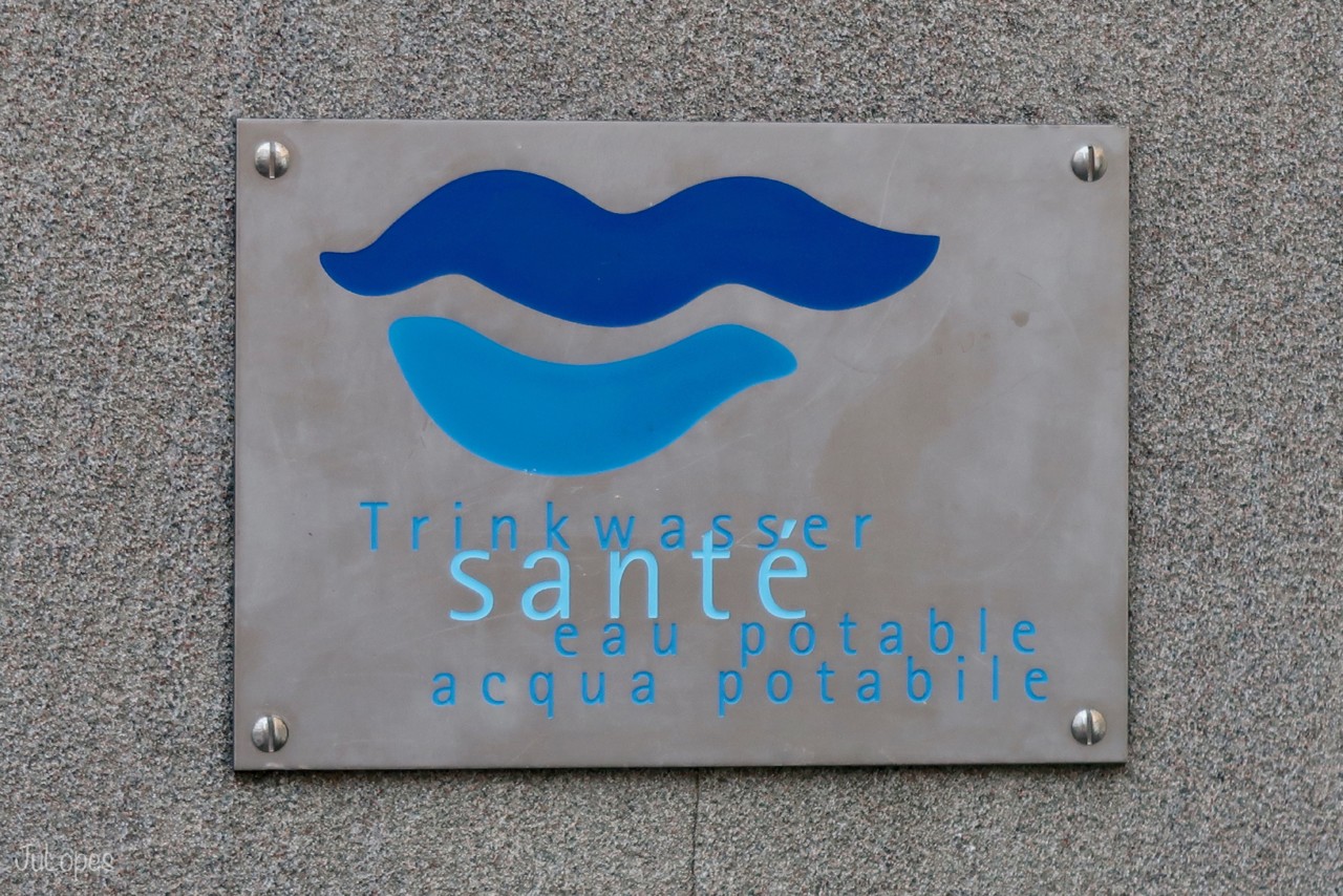 IMG_7717.jpeg IMG_7717.jpeg