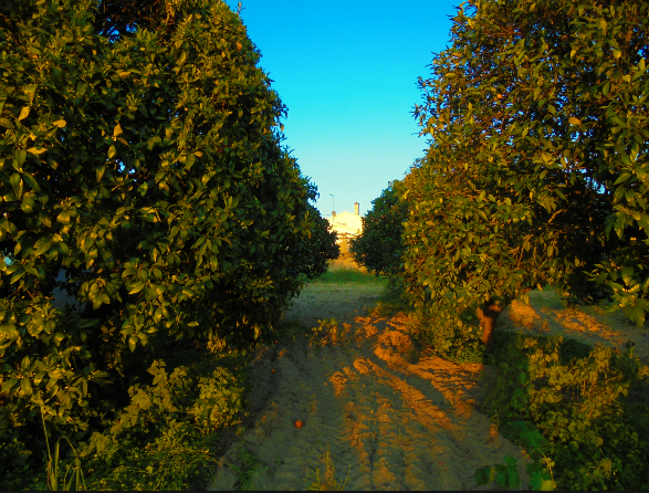 Sem Título104 (2).png