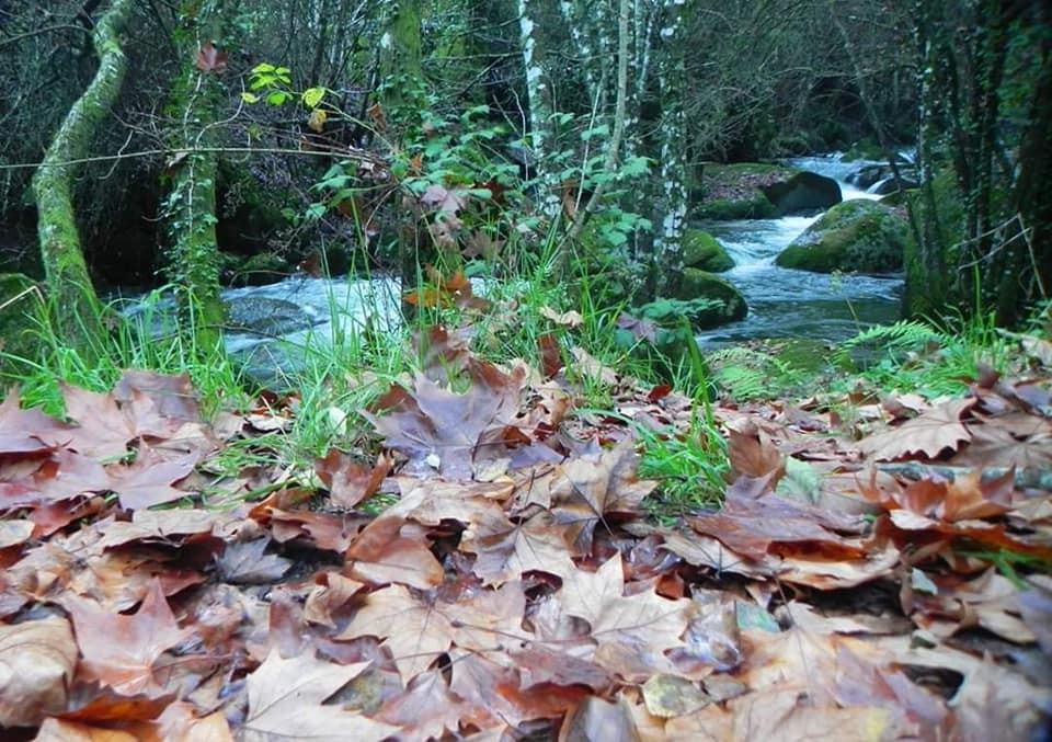 75424741_2518713164880986_1726265012596506624_n.jp