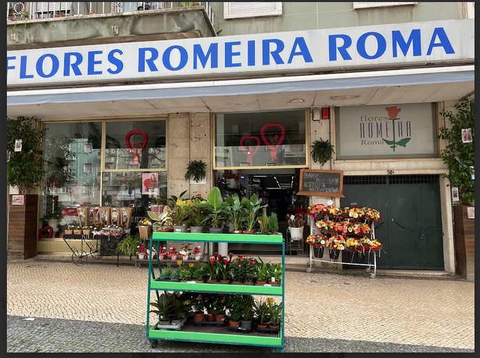 Screen Shot 2025-03-18 at 11.00.54.png