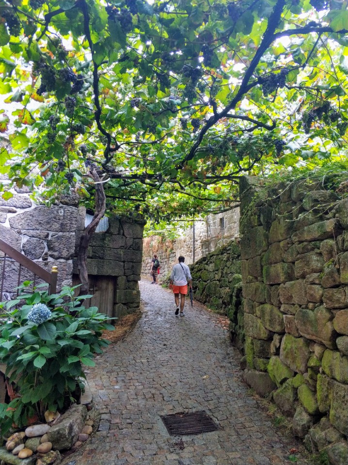 Aldeia de Padrão.jpg