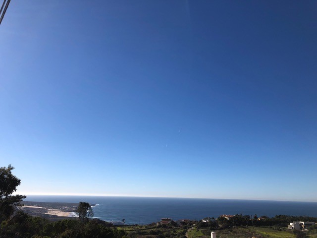 IMG_1424.jpeg