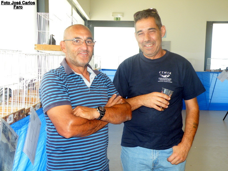 Leilão Serpa 2017 055.JPG