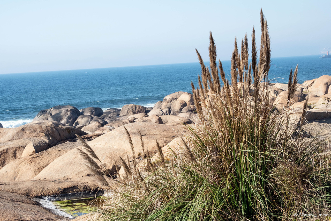 2017.- VNG - Casa Branca (Fujufilm) (2).jpg