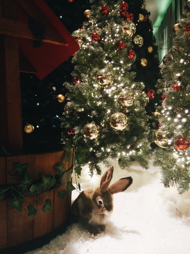 2017-12-05 05.19.22 1.jpg